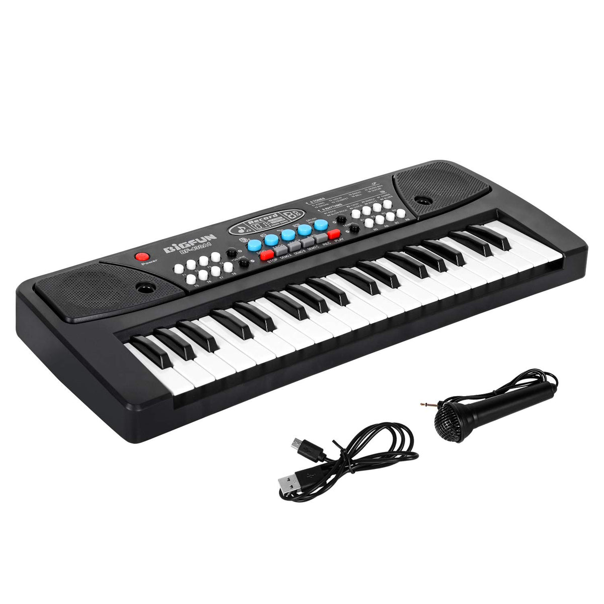 Portable Electronic Piano Keyboard | Professional Educational Musical Toy with Mic & Record Function for Beginners 3+