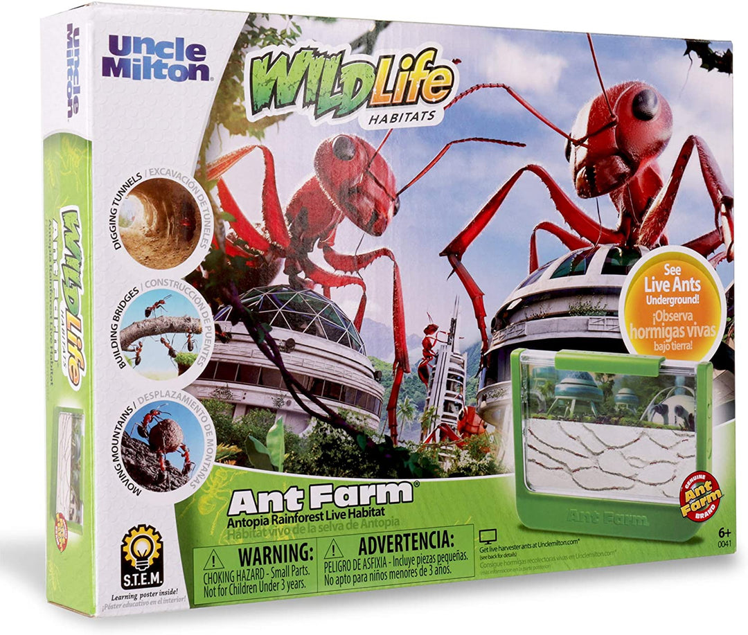 Ant Jungle Terrarium – Smart Kids Planet
